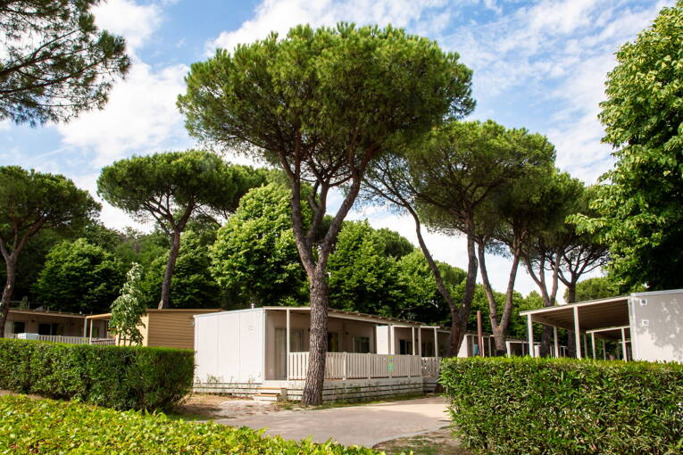 Camping Hu I Pini Village **** photo 2 Latium Tohapi